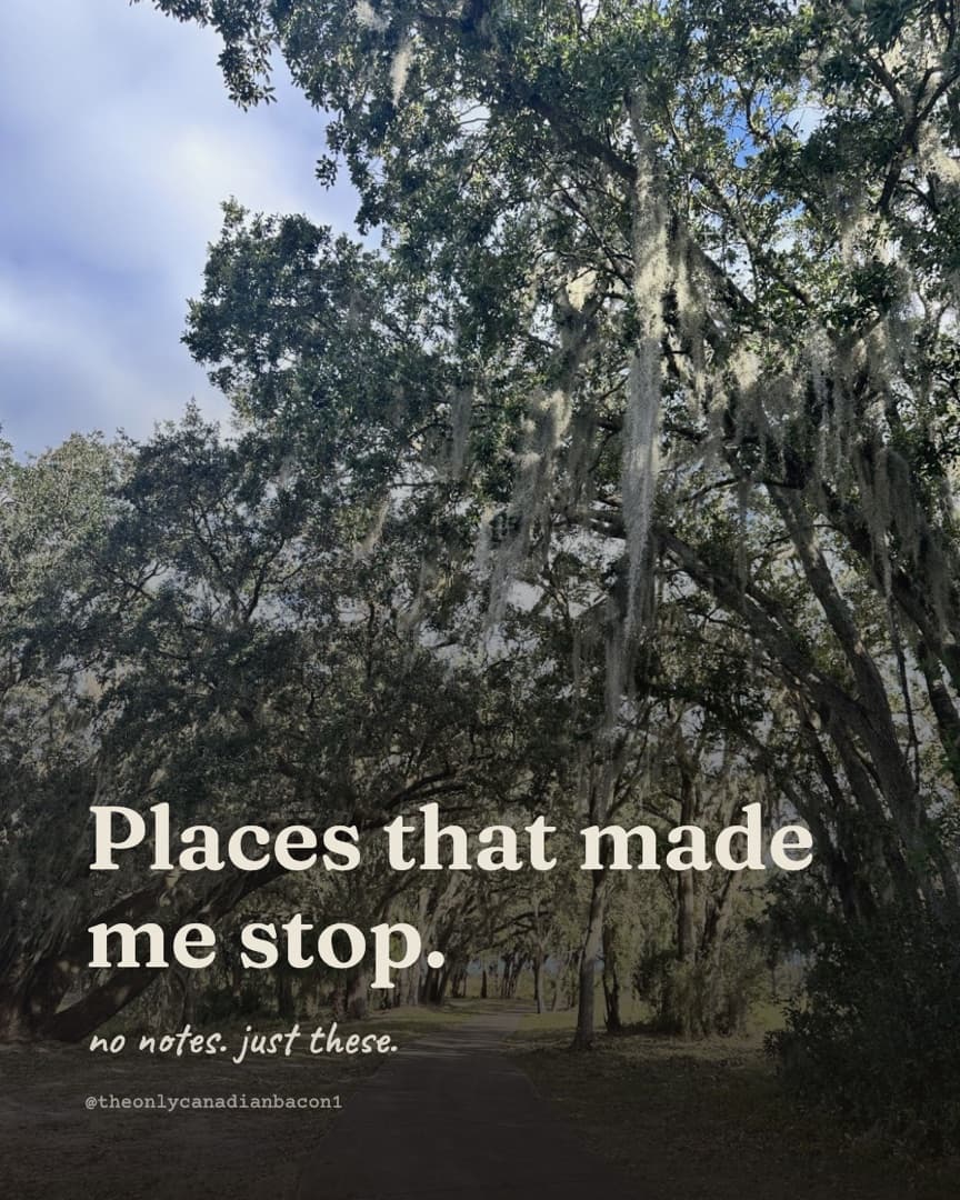 Instagram carousel cover titled Places That Made Me Stop