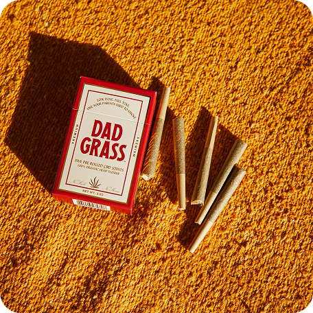 Dad Grass case study visual