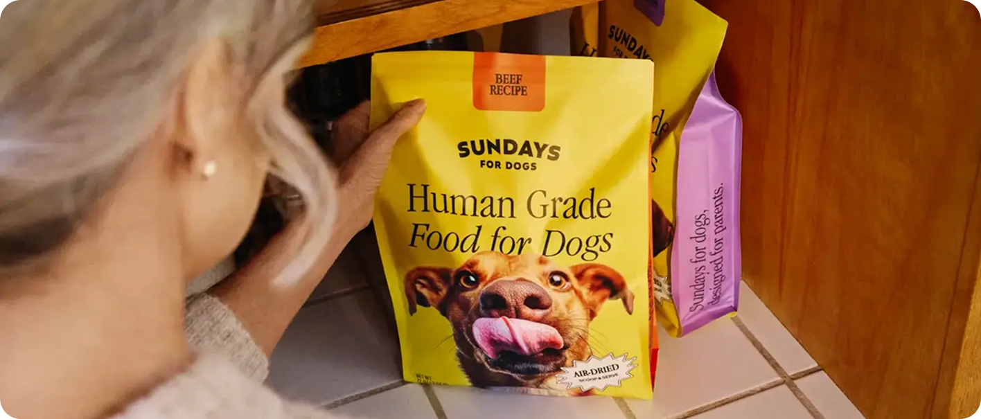 Sundays for Dogs — project imagery